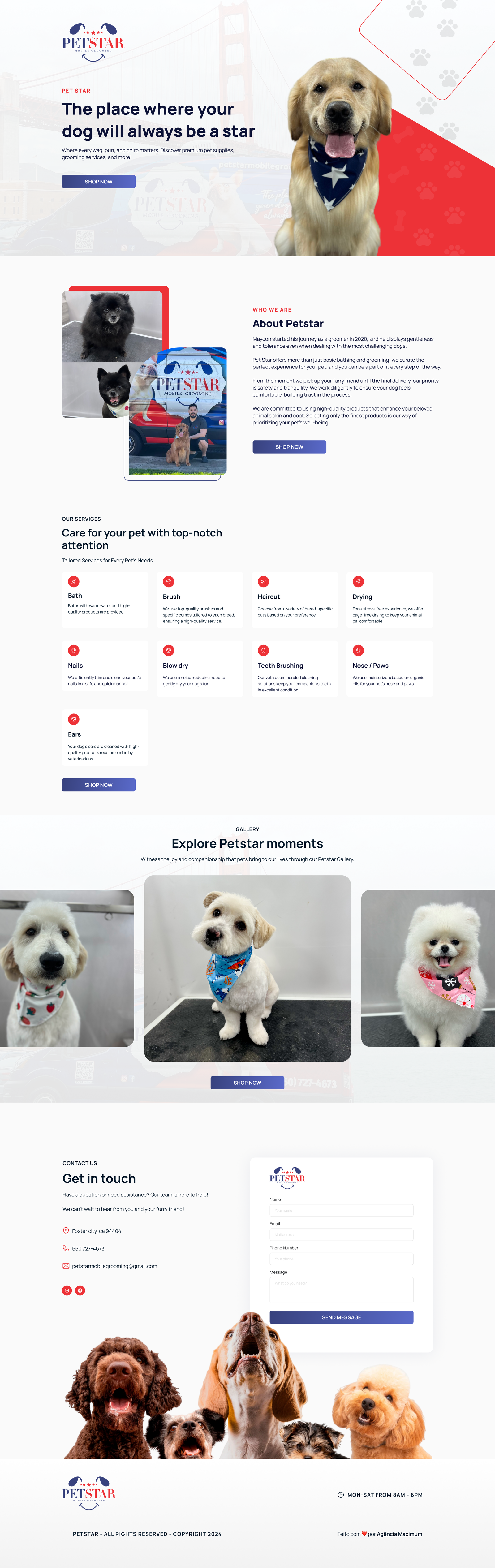 Pet Star Classic LP