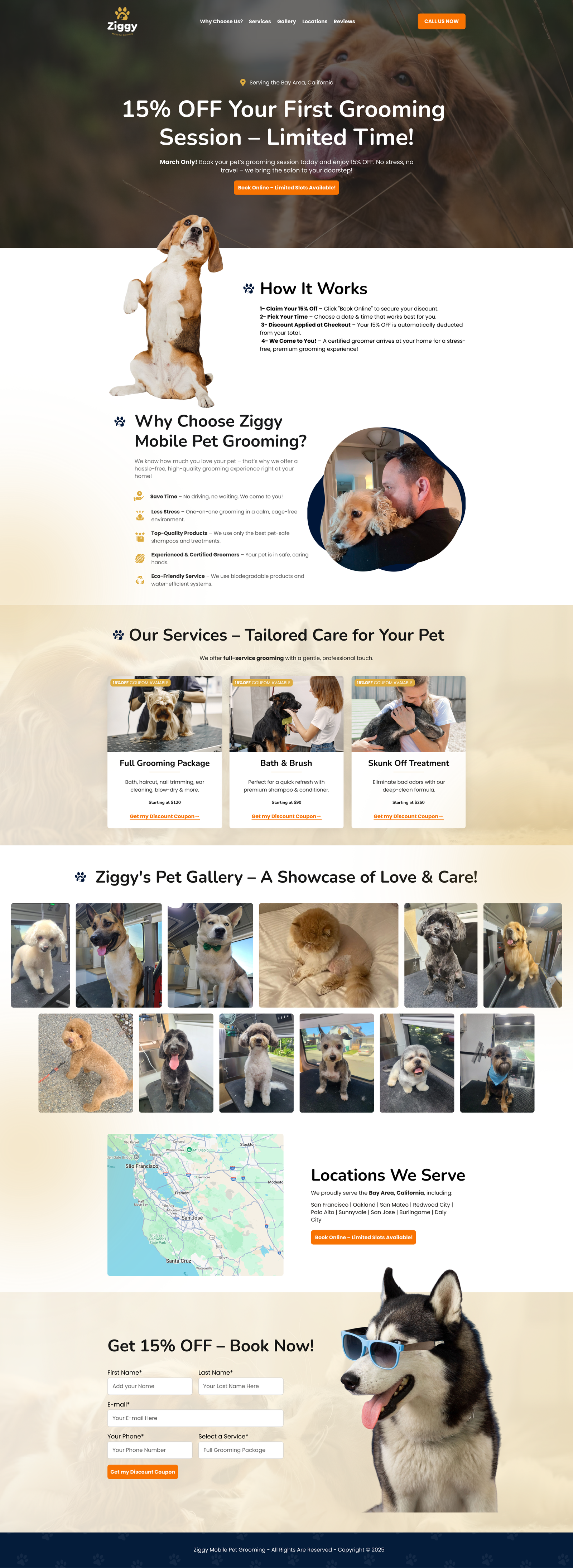 Ziggy Grooming V1