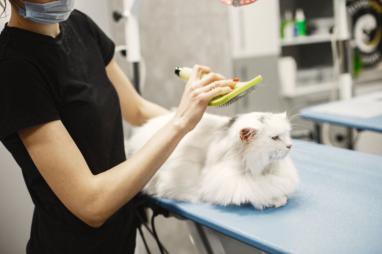 Mastering Marketing for Mobile Pet Groomers in California
